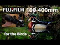 Birding with the Fujifilm 100-400mm lens.