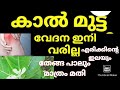 എത്ര പഴകിയ കാൽമുട്ട് വേദനയും 41 ദിവസം കൊണ്ട് മാറ്റിയെടുക്കാം Remedies for knee Joint pain