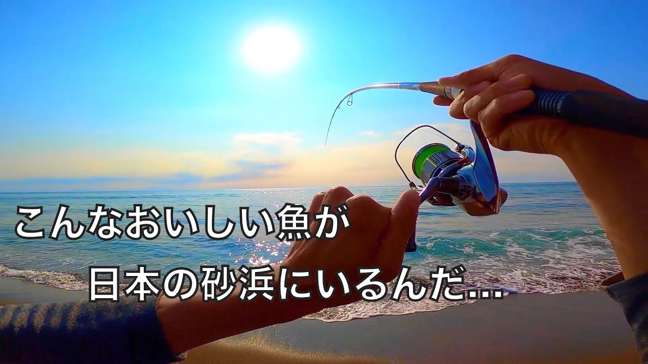 つ‥ついに釣り上げた！砂浜から釣れる脂ノリノリの美しき高級魚！！【車中泊釣り旅北海道編・第3話】