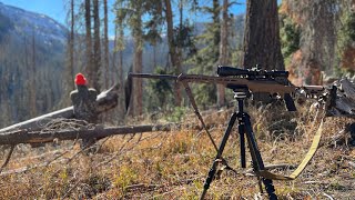 Colorado Elk Hunt San Juan Mountains 2023