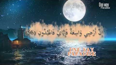تلاوة رائعة للقارئ انس الشهاب|حالات واتس اب قرآن كريم
