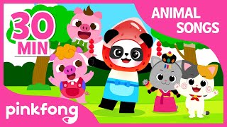 The Kitty Song and more | +Compilation | Animal Songs | Pinkfong Songs for Children