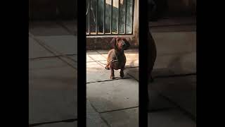 കണക്ക് അങ്ങോട്ട് ശരിയാവുന്നില്ല.