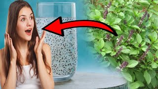 9 Surprising Health Benefits of Basil Seeds or Sabja seeds |  ADD TO DRINK OR DESSERT