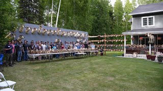 105 Alaska Dall Sheep