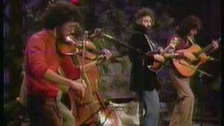 Video thumbnail of ""Fridays TV Show" (1981) [Show D-16]   David Grisman Quartet - "Dawg's Bull"   [16 of 16]"