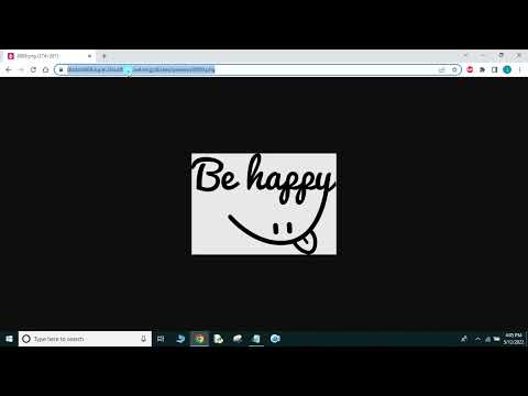 41 program -