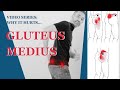 Gluteus Medius Pain | Fix Buttocks Pain & Sacral Pain With Posture Exercises