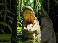 weird facts that you should know pt. 4