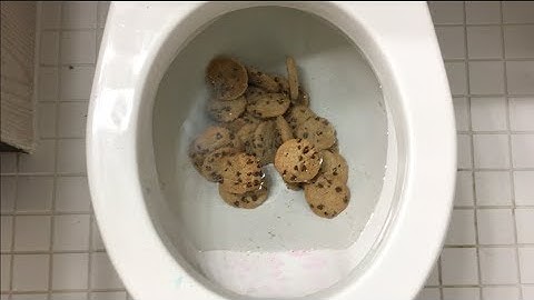 Will it Flush? - Chips Ahoy Cookies