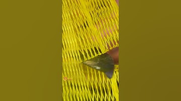 Cutting with Hot Knife #satisfying #asmr #macro #closeup #relaxing