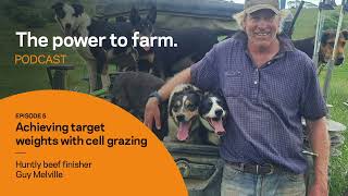 Gallagher Power To Farm podcast: Episode 5 Achieving target weights with cell grazing