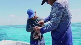From Fishers to Conservationists: Safeguarding Sharks, Safeguarding Our Seas