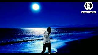 Gi̇di̇yorum Elveda /Alıntı Yorum: Osman Kavaklioğlu