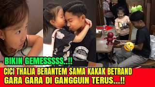 Bikin Gemesss Cici Thalia Berantem Sama Kakak Betrand Peto Gara2 Di Gangguin Terus