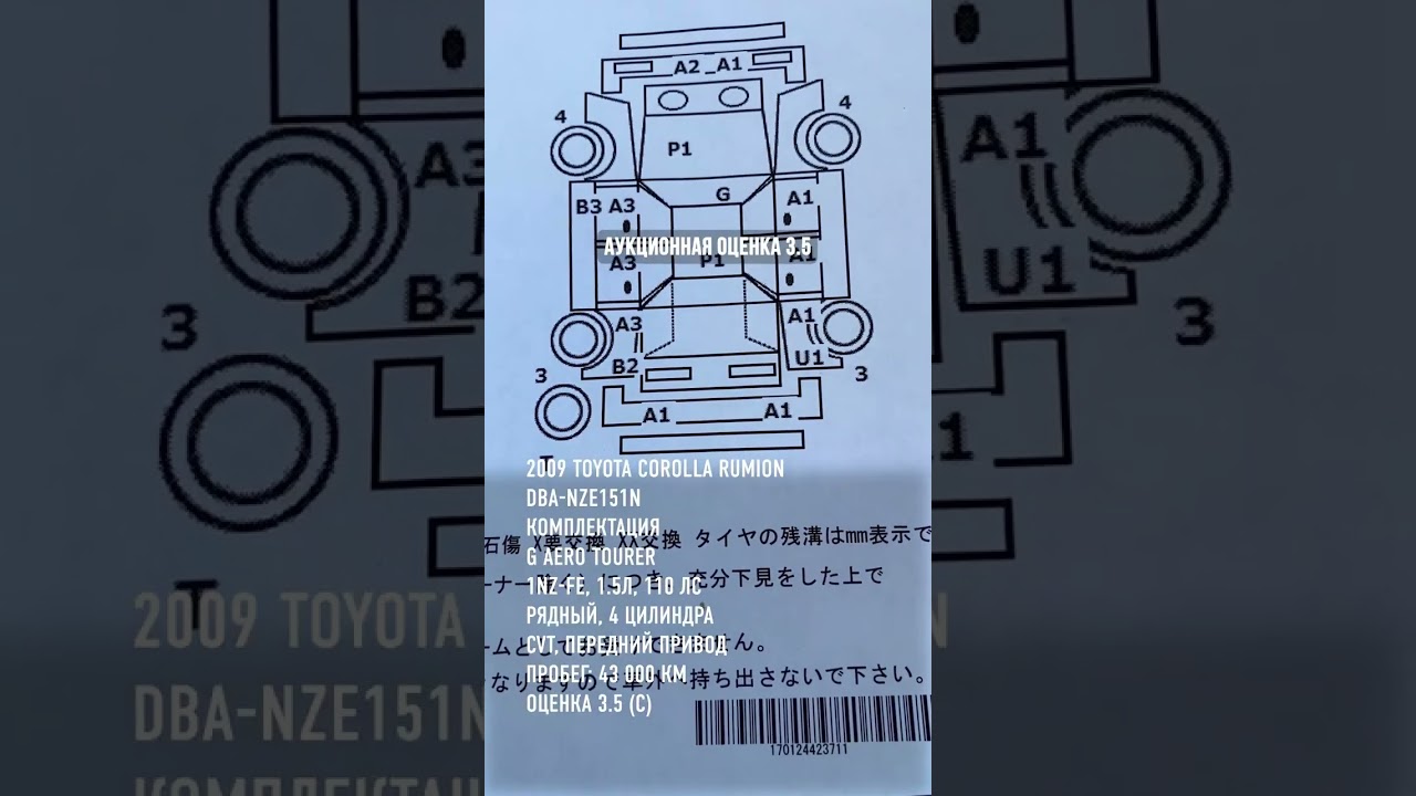 2009 TOYOTA COROLLA RUMION