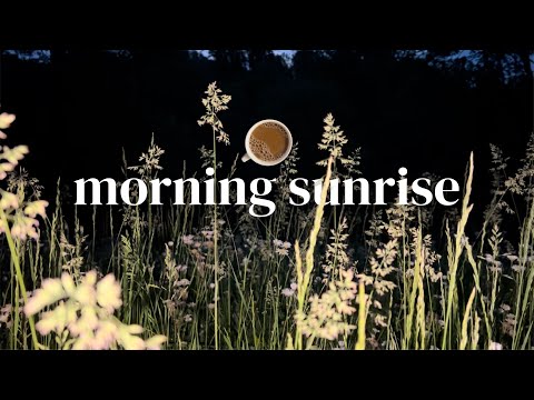 Morning Sunrise Nature Ambience | Wakeup With the Birds