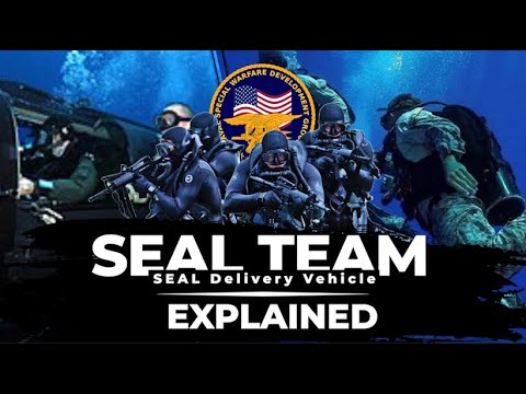 ネイビーシールズ SDVチーム1 - ラジオ テレフォン オペレーター Operation Red Wings Navy Seals SDV Team 1 - Radio Telephone