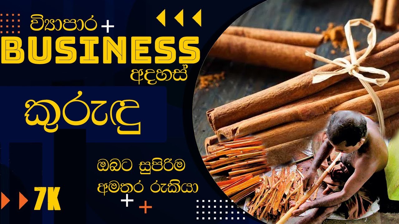 Cinnamon කුරුදු Business in Srilanka Small Business Sinhala YouTube