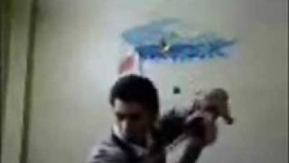 Shaolin Kung Fu Master