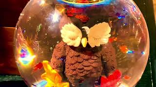 05 Little Einsteins Rockets Firebird Rescue Week Day 6, Music Video 2