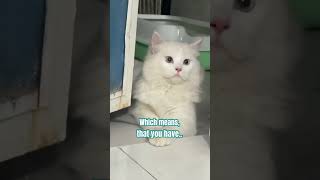 You Had A Looong Week