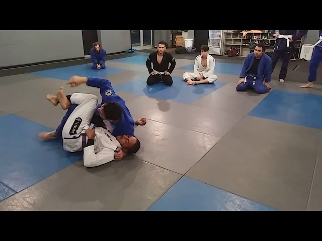 Brazilian Jiu-Jitsu Classes West Hartford, CT • Plus One Defense Systems