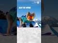 Lizzy the Yorkie | Snowboard Gold