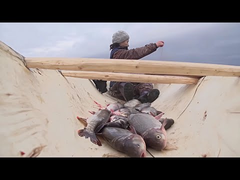 Хозяйка тайги. Часть 1 | C полем!