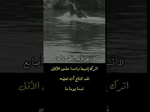 لا تبص لأحد بالعشرة أصابعك عبارات اقنباسات 