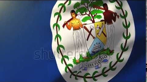Belize flag waving in the wind. Looping sun rises style. Animation loop Stock video by