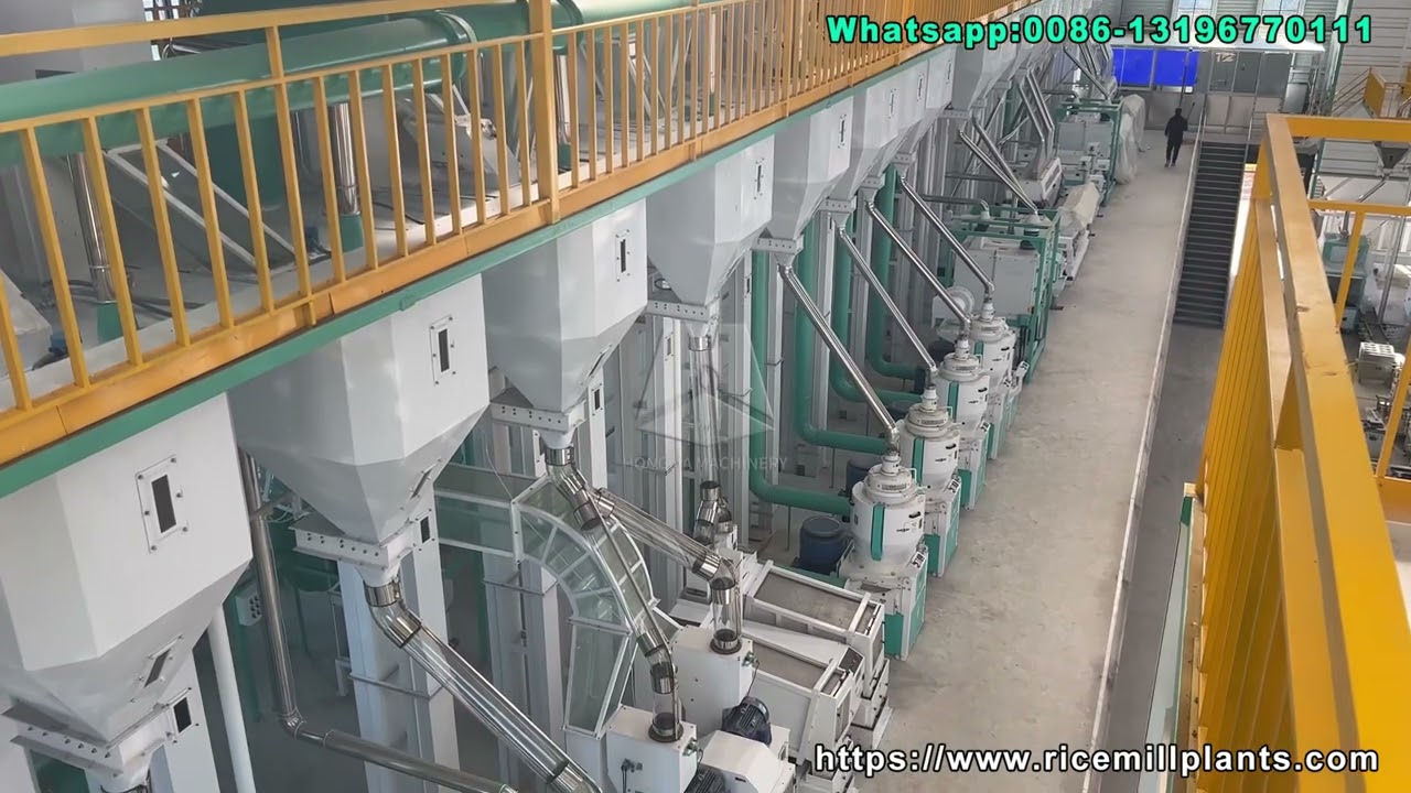 200T/D Rice Milling Plant | Efficient Paddy-to-Packaged Rice Solution 