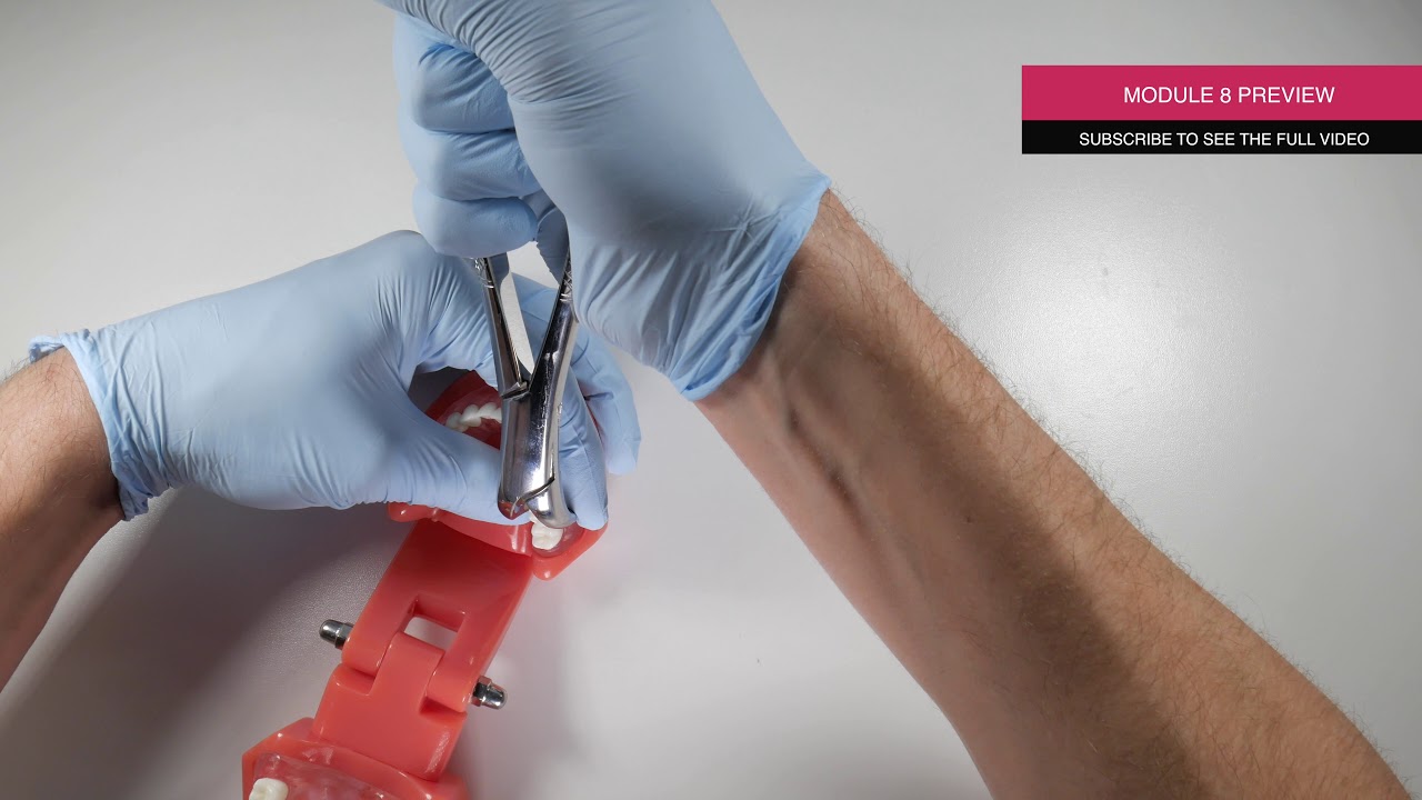 Module 8 Surgical Armamentarium Preview YouTube