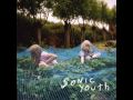 Disconnection Notice - Sonic Youth