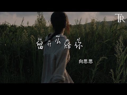 留什麼給你 - 向思思『Liu Shen Me Gei Ni - Xiang Si Si』#無損音樂