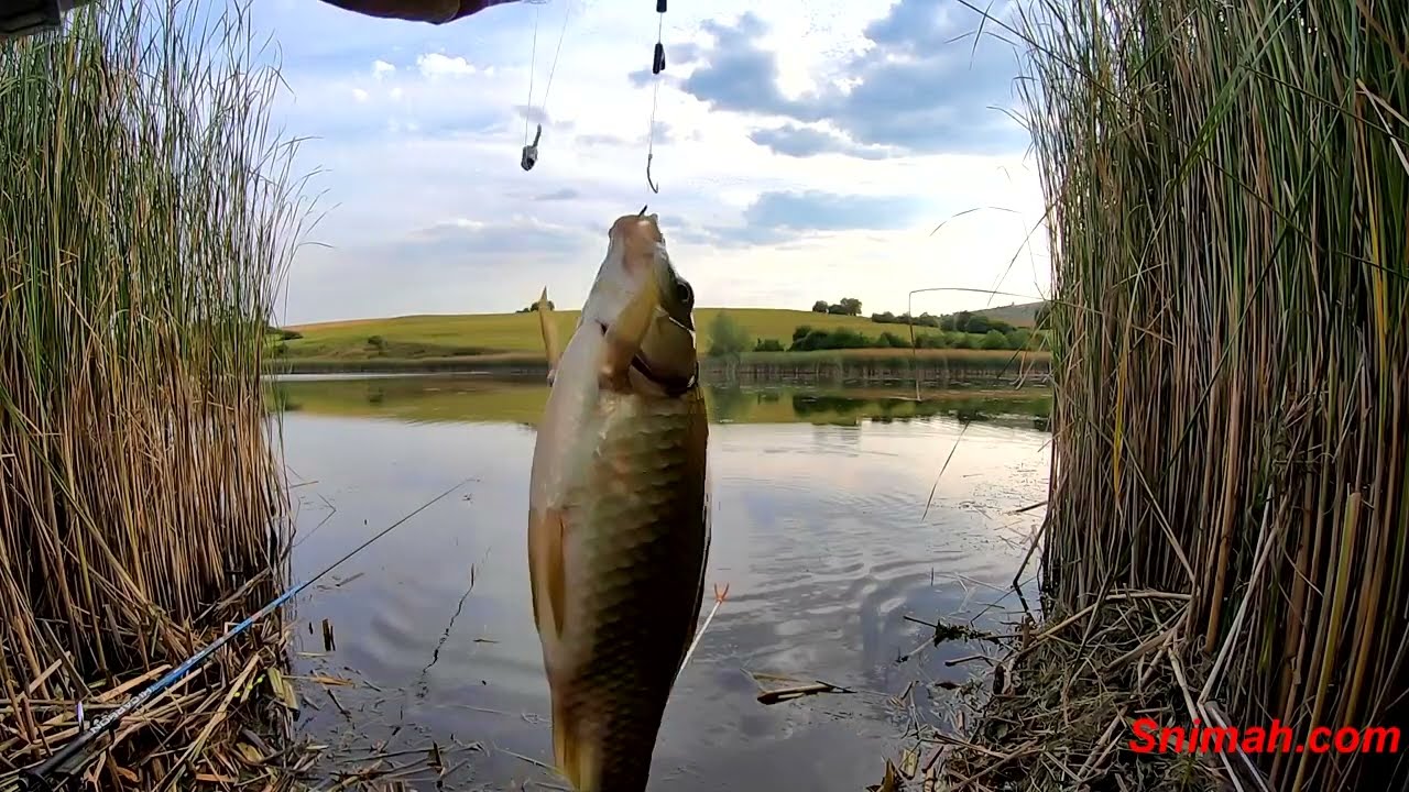 Излет на язовир Брезнишки извор