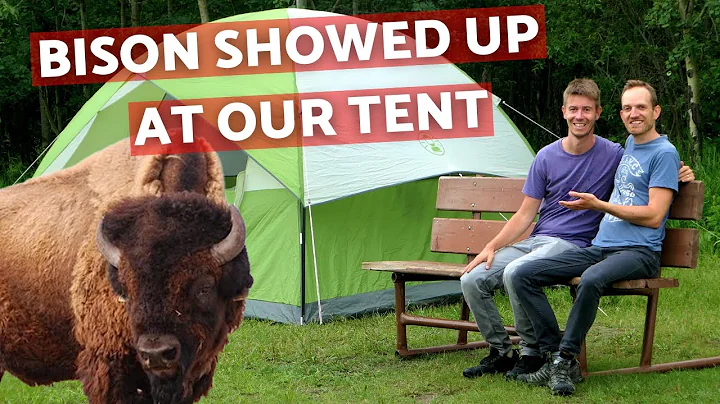 Canada, eh? | Backcountry camping in Elk Island National Park (Oster Lake)