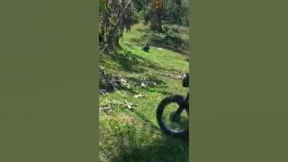 ah,sakit nuun,cafe trail