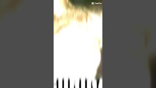  Ap Ini Tngn Ku Tbk Komen  