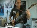 Master of Puppets cover (Jeroen Petri)