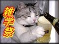 ［雑学］猫の前足には指が5つあるが、後ろ足には指いくつ？（他　楽しい雑学12話）