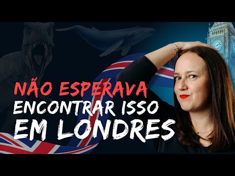 Museu de História Natural de Londres: você sabia que ele estava assim?