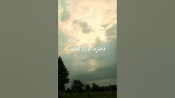 ( إِنَّا وَجَدْنَاهُ صَابِرًا ۚ ) سورة "ص" آية { 44 } 🤍 القارئ رعد الكردي