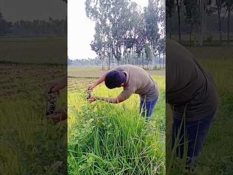 Creative videography tutoril #shorts #shortvideo