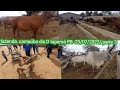 FAZENDA CARNAÚBA DIA D TAPEROÁ PB -23/07/2022/parte 3