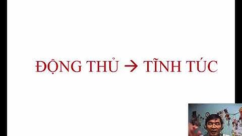 Quân tử có thương thì đóng cọc là gì