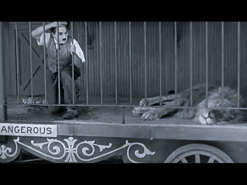 ঘোড়ার ওষুধ খেয়ে সিংহের মুখে চার্লি চ্যাপলিন | Charlie Chaplin Funny Video