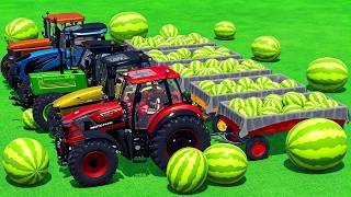 JOHN DEERE vs DEUTZ vs LAMBORGHINI vs LANDINI TRACTORS BATTLE - Farming Simulator 25