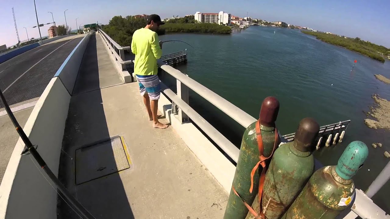bridge and beach fishing indian shores florida YouTube