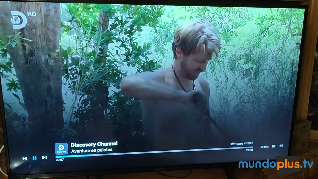 YouTube player